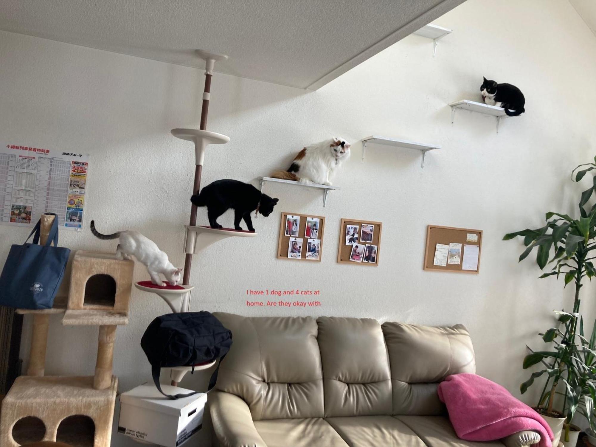 Otaru - House / Vacation Stay 57190 מראה חיצוני תמונה
